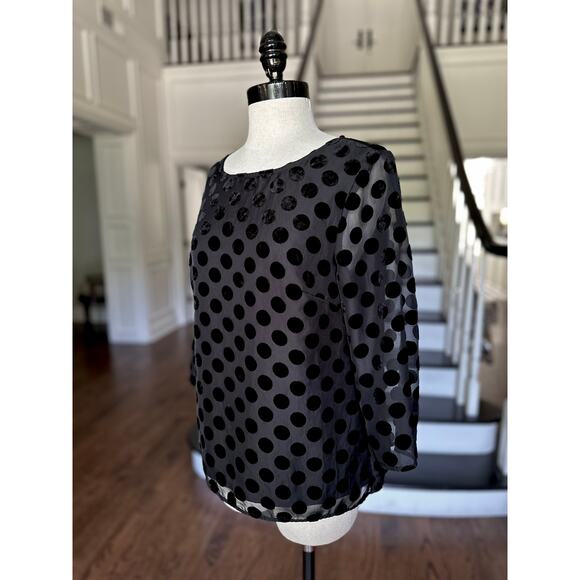 RSVP TALBOTS Velvet PolkaDot Chiffon Blouse SpecialOccasion FestiveHoliday Party - Picture 6 of 8